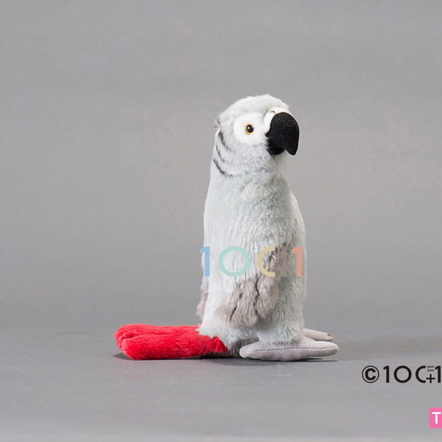 [100+1] SM153 非洲灰鸚鵡