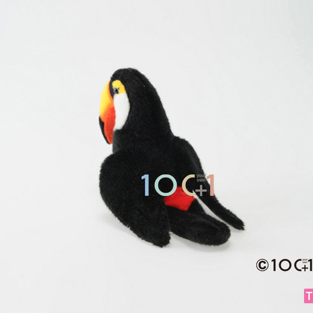 [100+1] SM046 巨嘴鳥