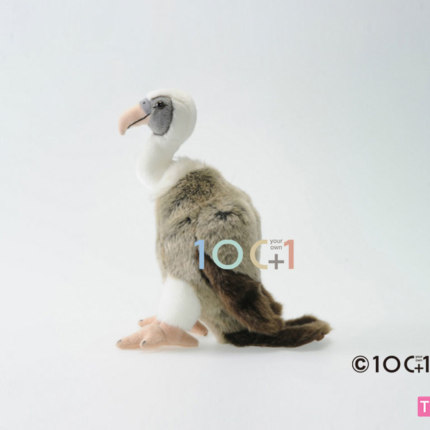 [100+1] SM033 禿鷹