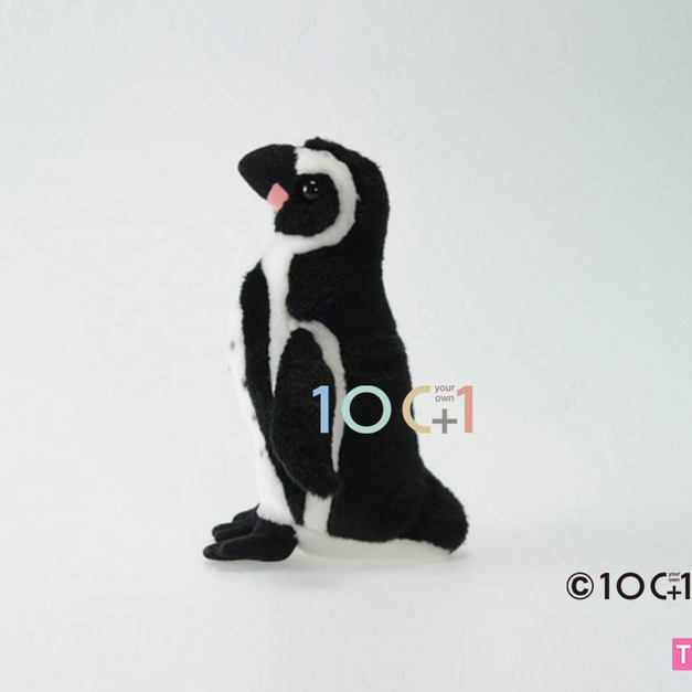 [100+1] SM131 漢波德企鵝（S）