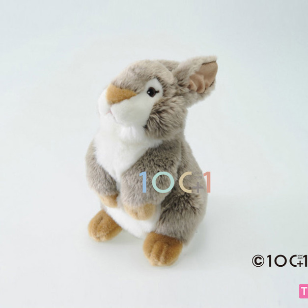 [100+1] SM058 棕兔