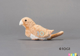 [100+1] SM143 十姊妹