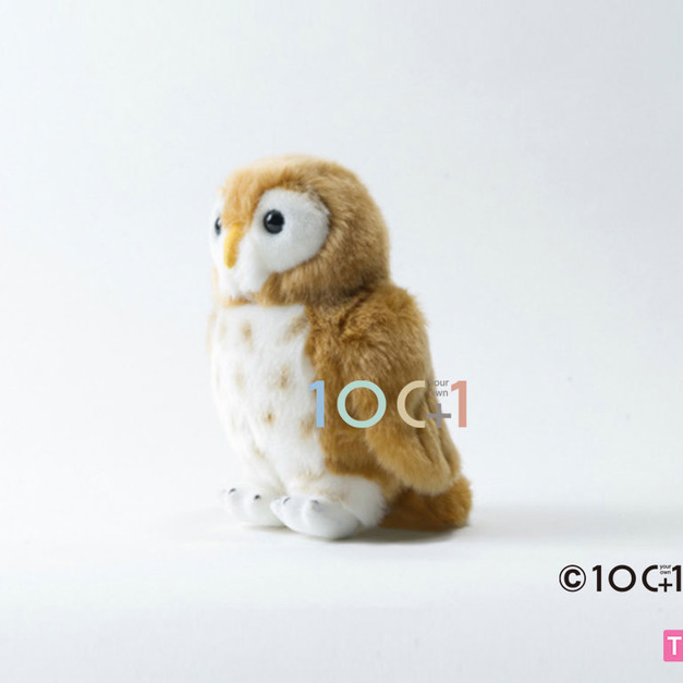 [100+1] SM108 灰林鴞