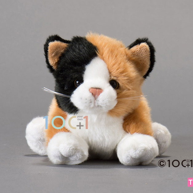 [100+1] SM171 小三色貓