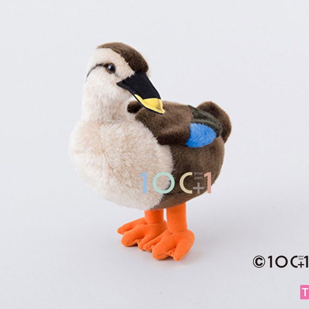 [100+1] SM246 斑嘴鴨