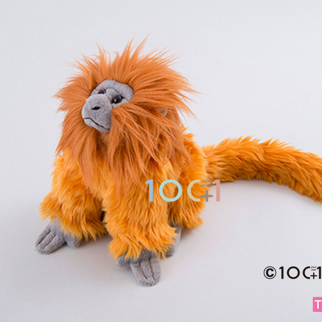 [100+1] SM225 金獅面狨