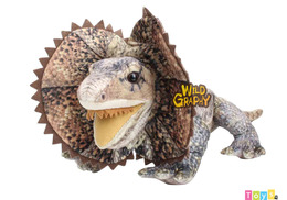 [Wild Graphy] SA023 褶傘蜥