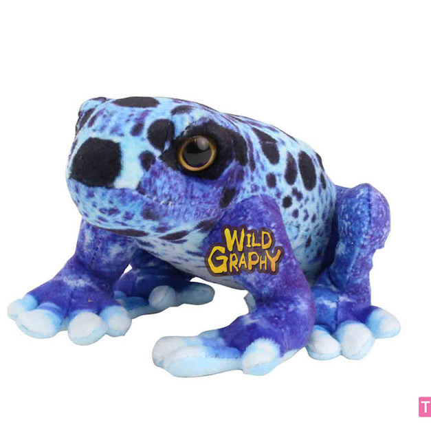 [Wild Graphy] SA019 鈷藍箭毒蛙（S）