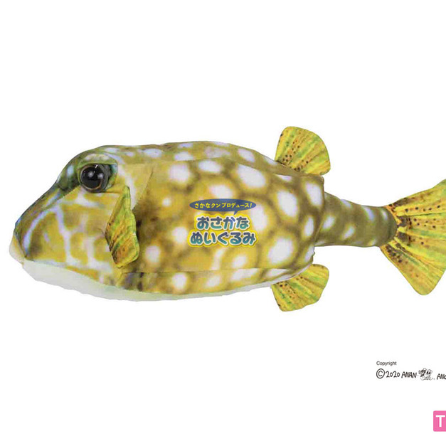 [OSAKANA SAN] SK003 河豚 (雌性)