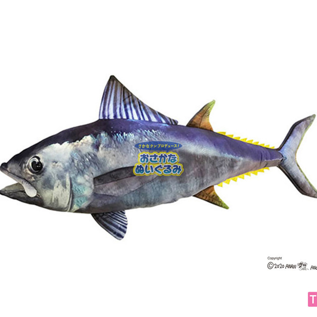 [OSAKANA SAN] SK008 太平洋藍鰭鮪魚