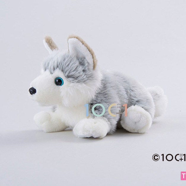 [100+1] SM230 哈士奇寶寶