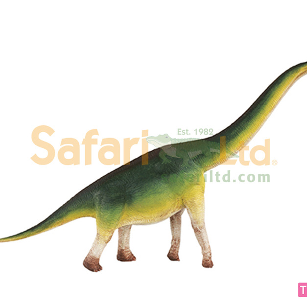 [Safari] 300229 腕龍模型