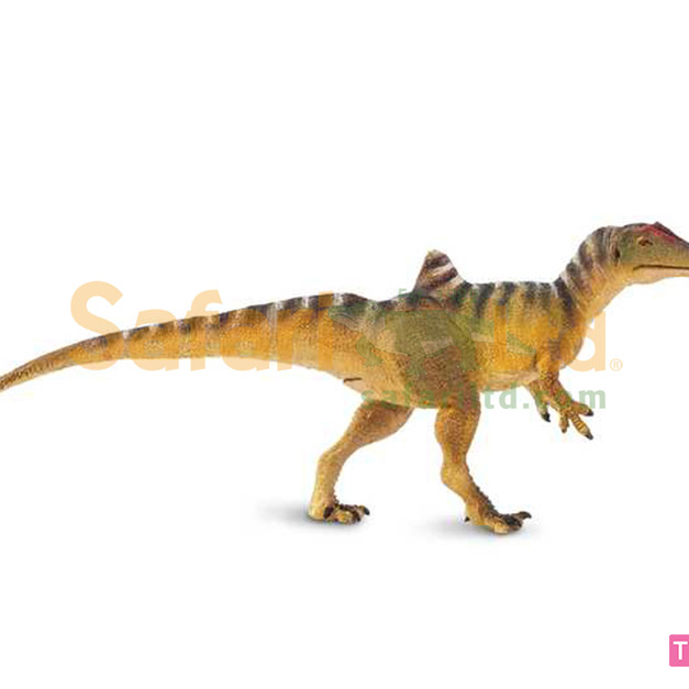 [Safari] 100355 昆卡獵龍模型