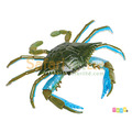 [Safari] 269729 青蟹模型