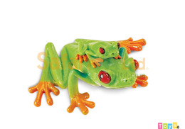 [Safari] 100120 紅眼樹蛙模型