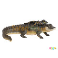 [Safari] 259629 短吻鱷親子檔模型