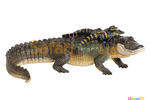 [Safari] 259629 短吻鱷親子檔模型