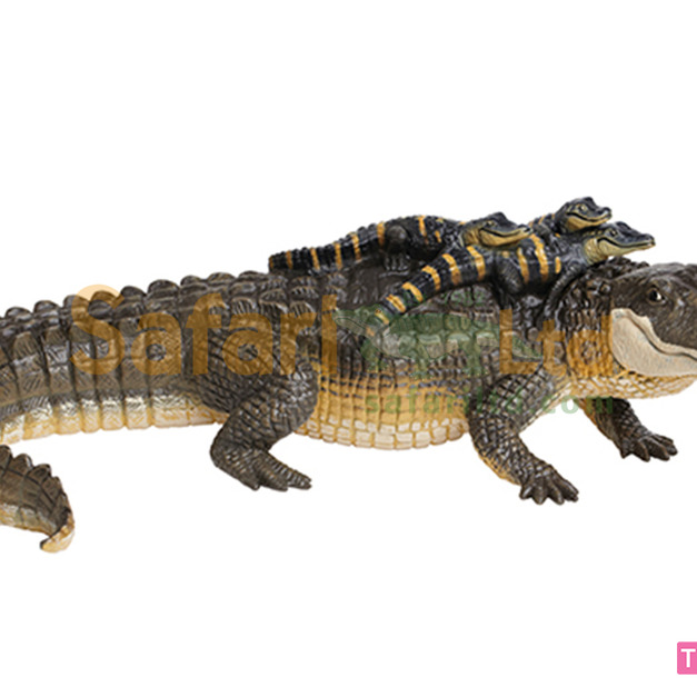 [Safari] 259629 短吻鱷親子檔模型