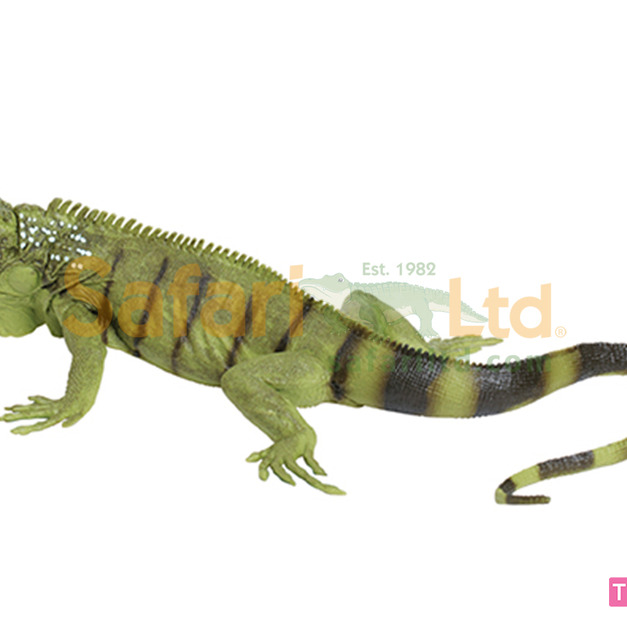 [Safari] 267729 鬣蜥模型