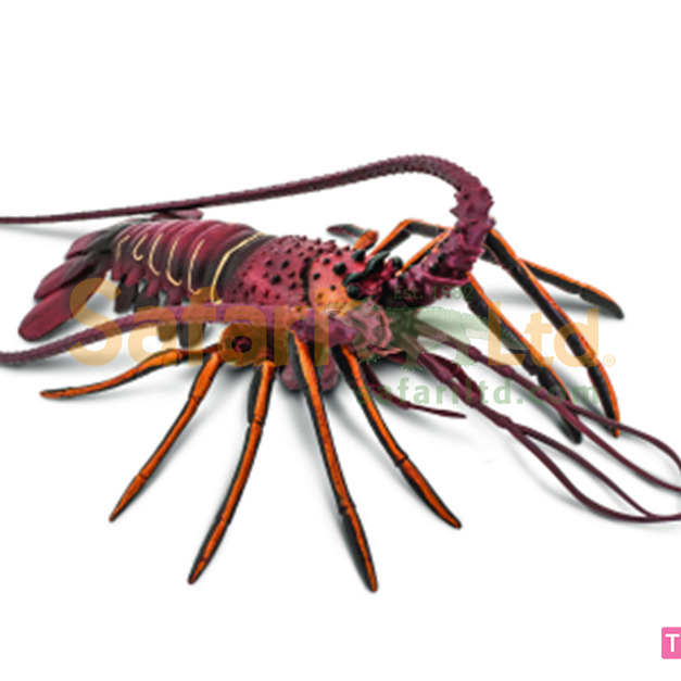 [Safari] 100076 龍蝦模型