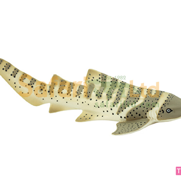 [Safari] 223329 豹紋鯊模型