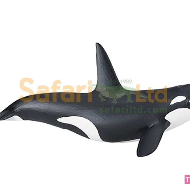 [Safari] 275129 殺人鯨模型