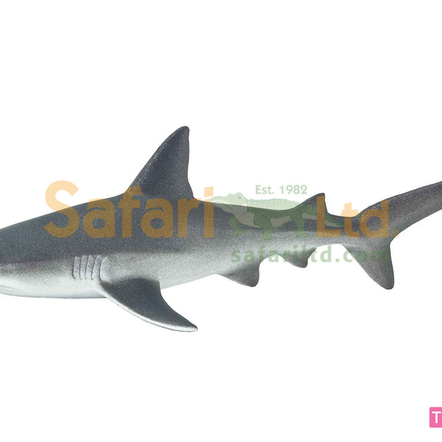 [Safari] 100099 灰礁鲨模型