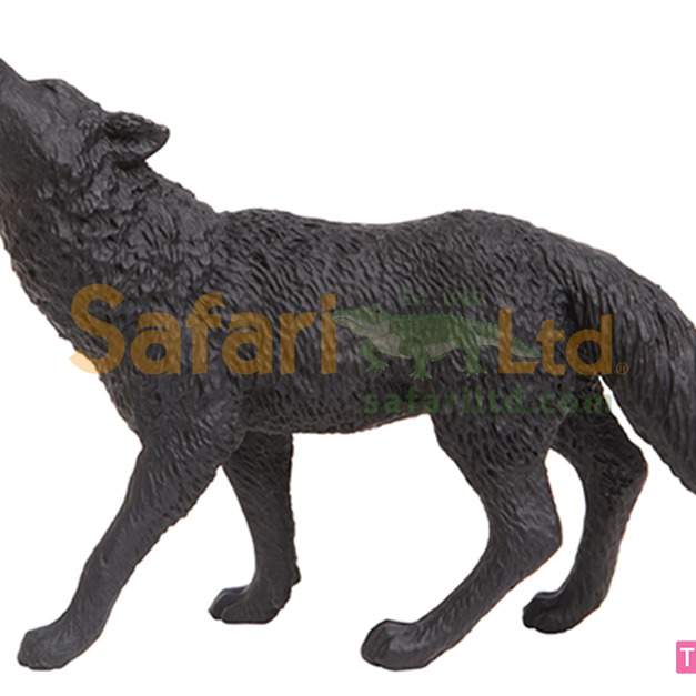 [Safari] 181129 黑狼模型