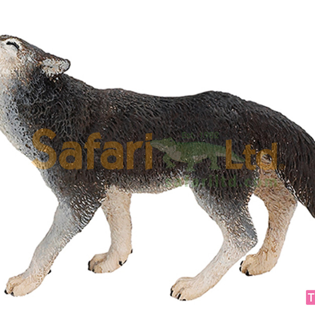 [Safari] 273829 灰狼模型