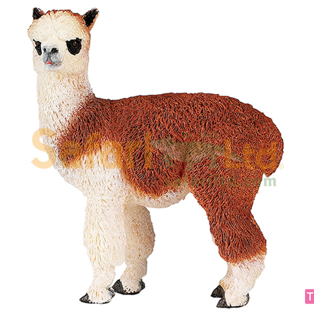 [Safari] 224529羊駝模型