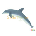 [Safari] 210802瓶鼻海豚模型