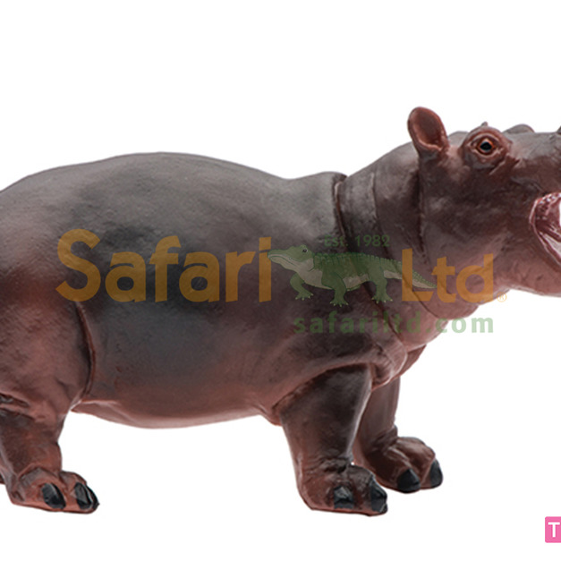 [Safari] 270529河馬寶寶模型