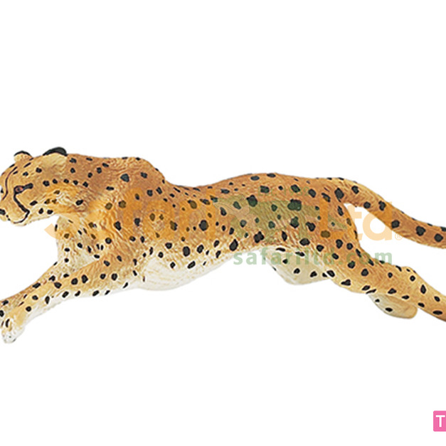 [Safari] 290429獵豹模型