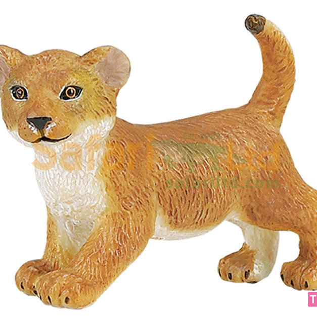 [Safari] 295129小獅子模型