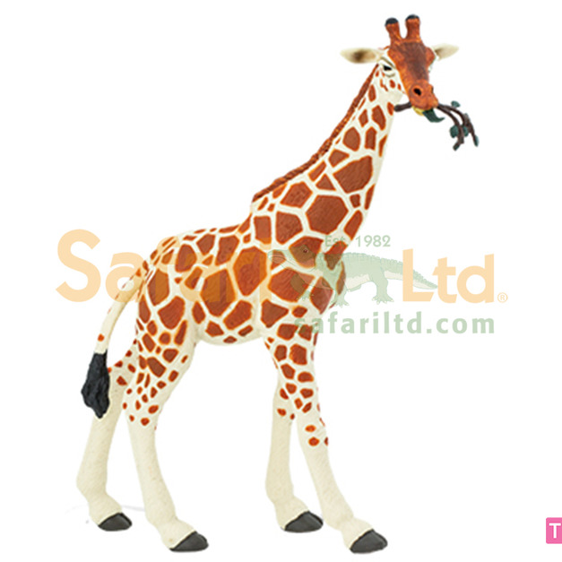 [Safari] 268429網紋長頸鹿模型