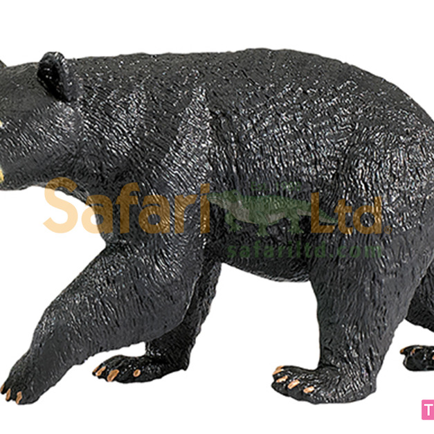 [Safari] 273529 黑熊模型
