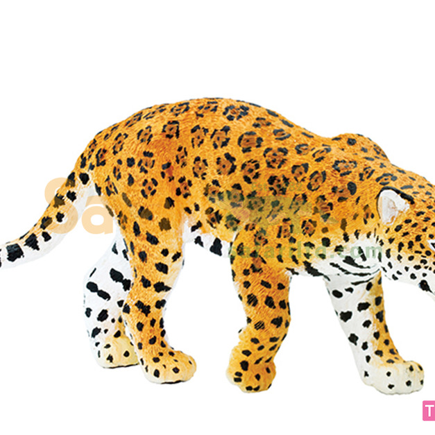 [Safari] 227729 美洲豹模型