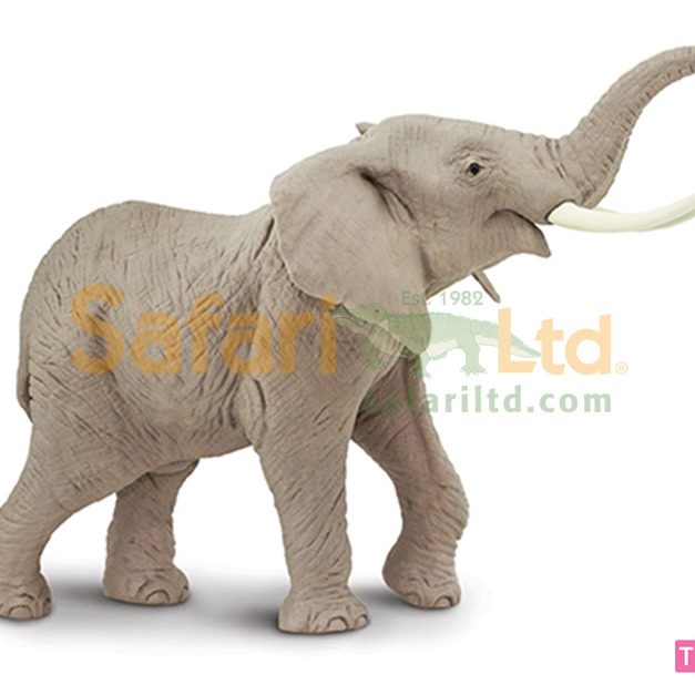 [Safari] 111089非洲象模型