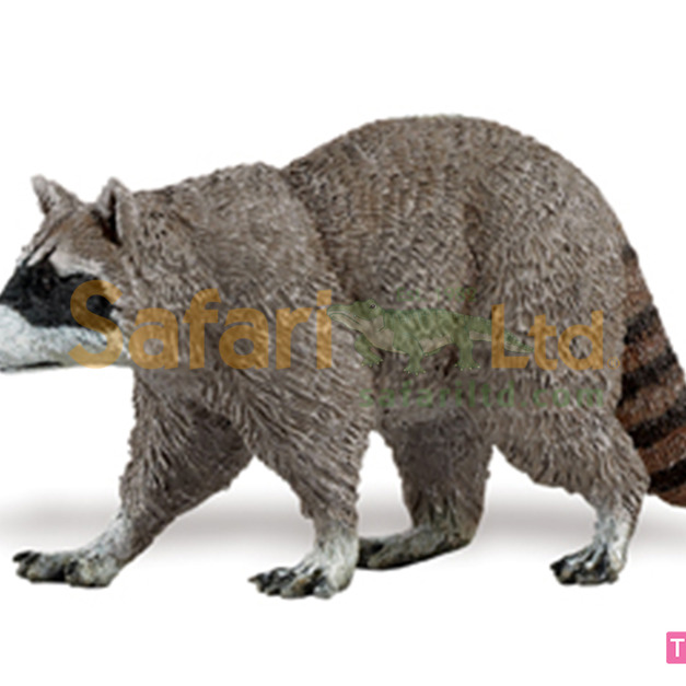 [Safari] 223029 浣熊模型