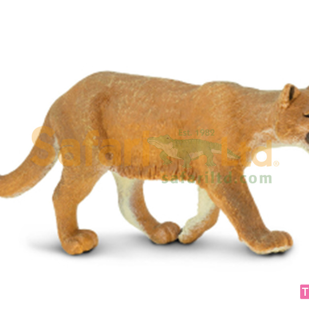 [Safari] 291829美洲獅模型