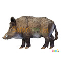 [Safari] 224229 山豬模型
