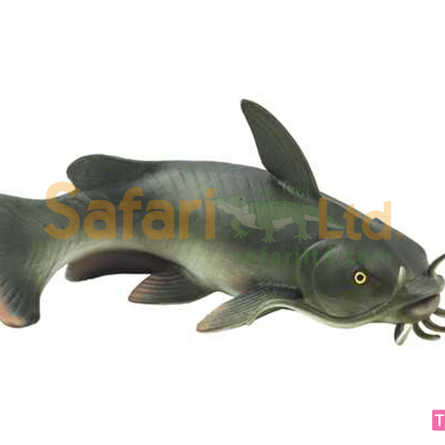 [Safari] 100362鯰魚模型
