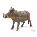 [Safari] 100512疣豬模型