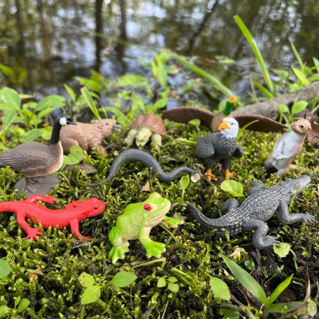 [Safari] 681804 河川生態動物迷你模型筒