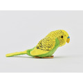[100+1] SM043 虎皮鸚鵡（綠色）_2