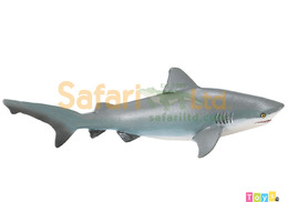[Safari] 422429 公牛鯊模型
