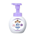 獅王 LION 趣淨洗手慕斯系列 瓶裝250ml-花香