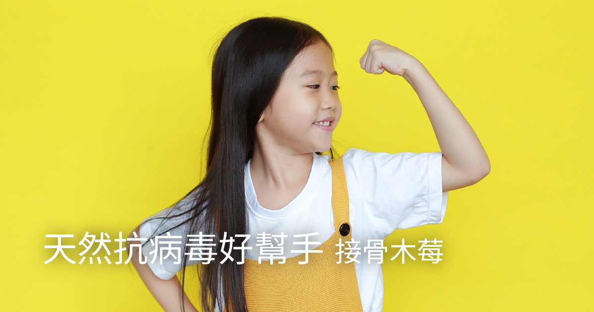 大人小孩都能受益的天然抗病毒好幫手-接骨木莓