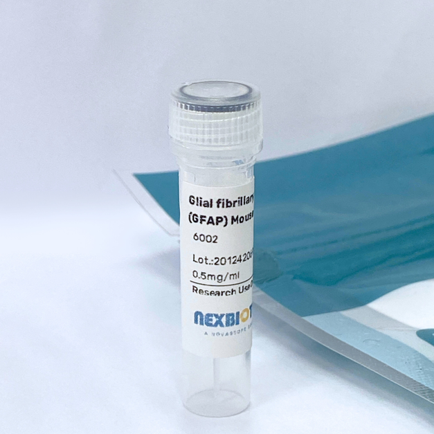 Glial fibrillary acidic protein (GFAP) Mouse mAb 
