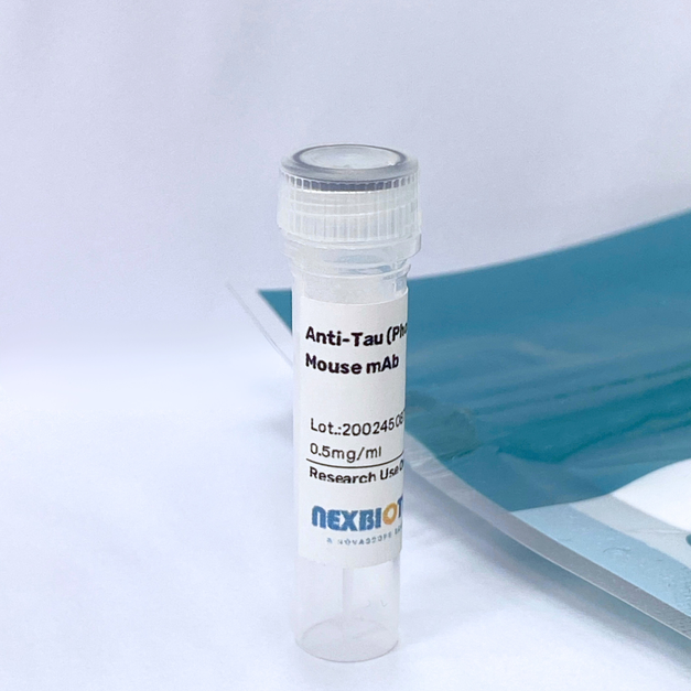 Anti-Tau (Phospho&ndash;Thr231) Mouse mAb #6864